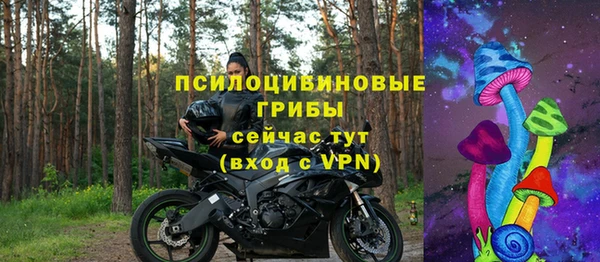 соль ск Касимов